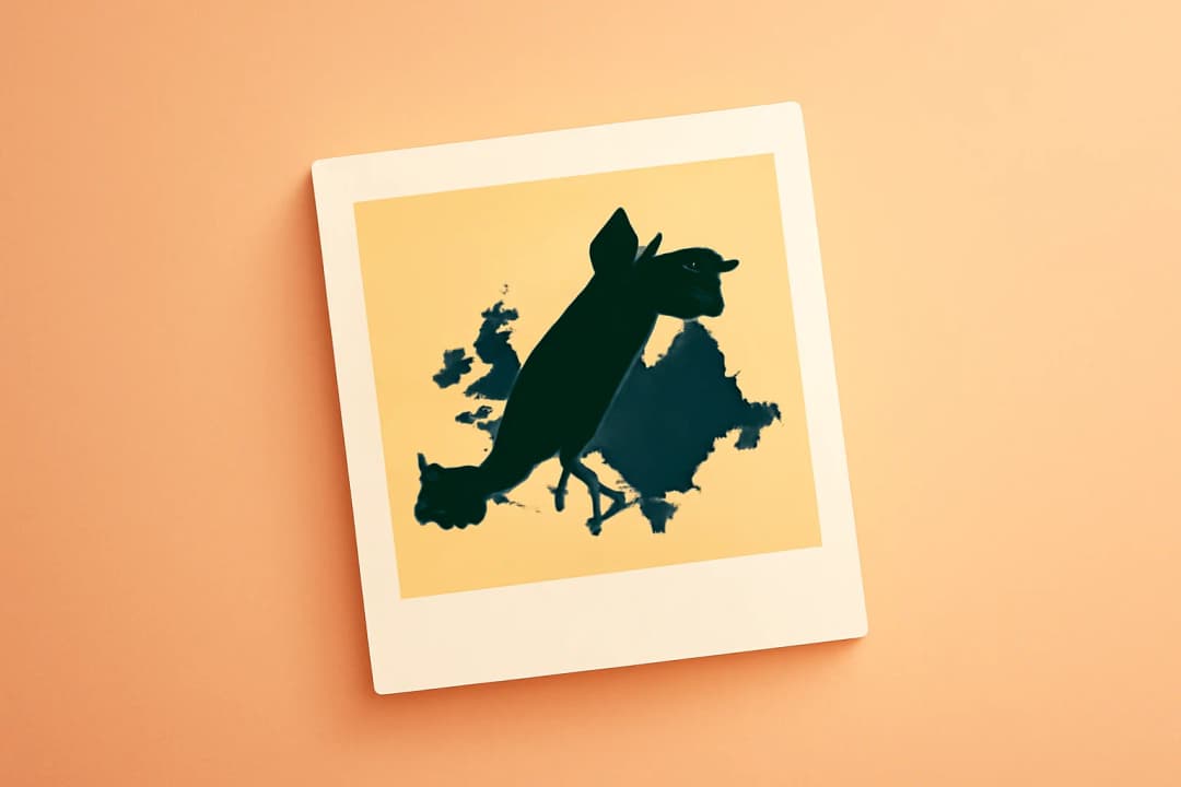 Copyright nos