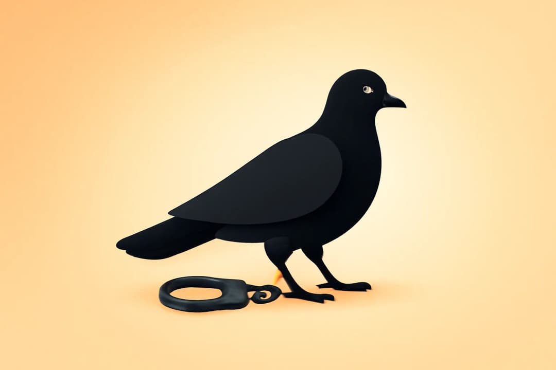 Copyright nos